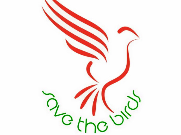 Save Birds