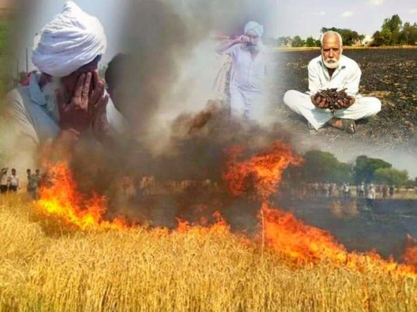 Help Farmers of Punjab