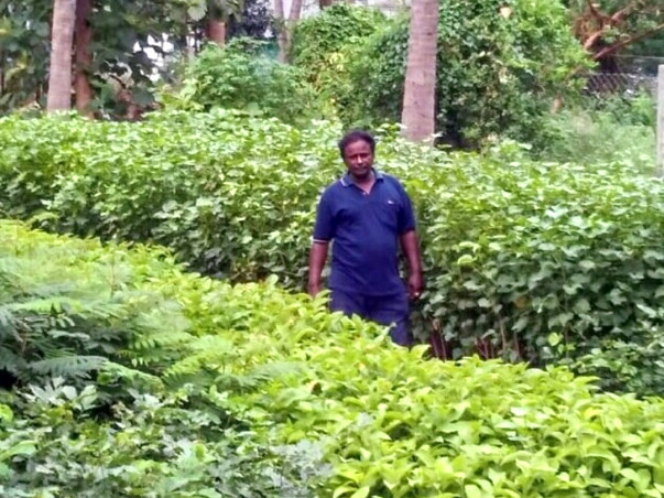 Help Saranalayam Charitable Trust Grow more Plants