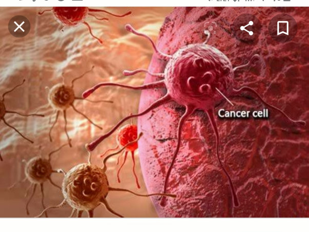 Help P Gowri Fight Blood Cancer
