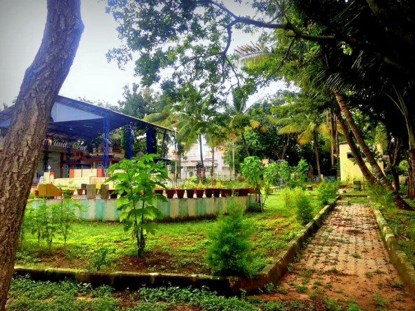 Help Beautify A Dilapidated Park!