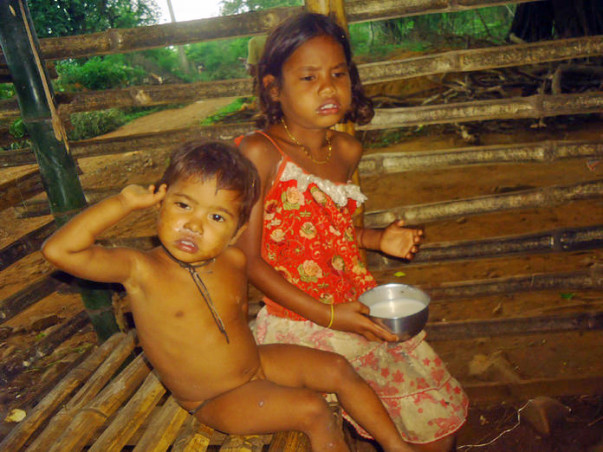 Plight Of The Saranda And Tribes Of Jharkhand