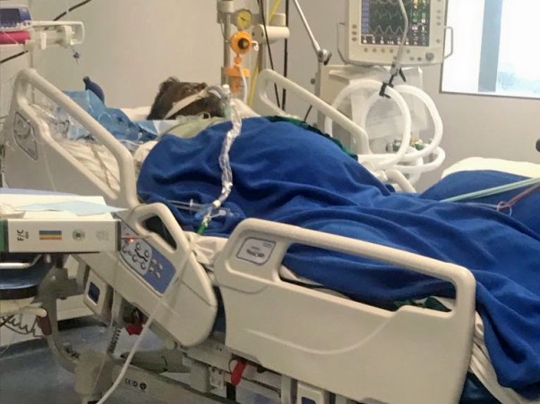 Help Keval Get A Liver Transplant.
