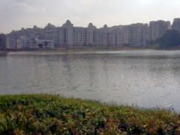 Bengaluru Marathon: Munnekolalu Lake Cleanup, Brookfield