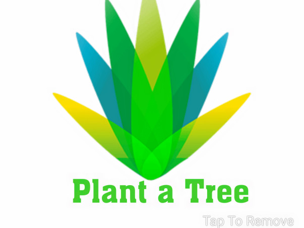 Help Farmers to Plant 10000 trees