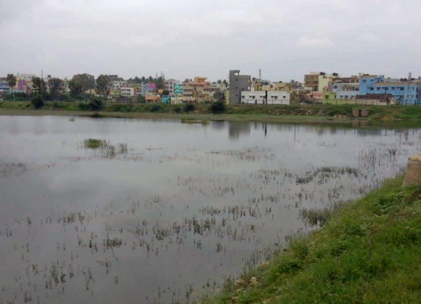 Peace Ride: Devasandra Lake Rejuvenation, K.R.Puram