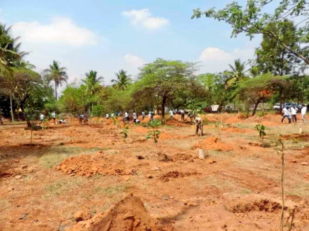 Peace Ride: Improving green cover in HSR Layout