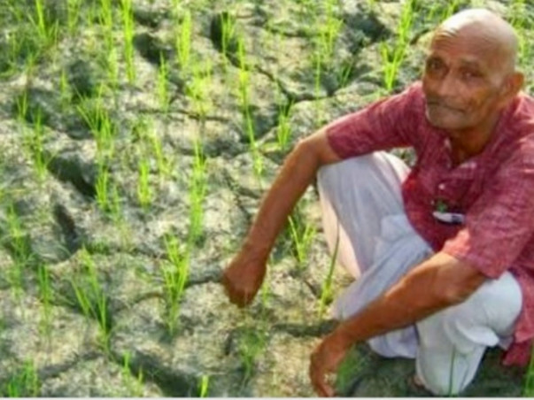Help The Poor Farmers Who Are Losing Hope To Live