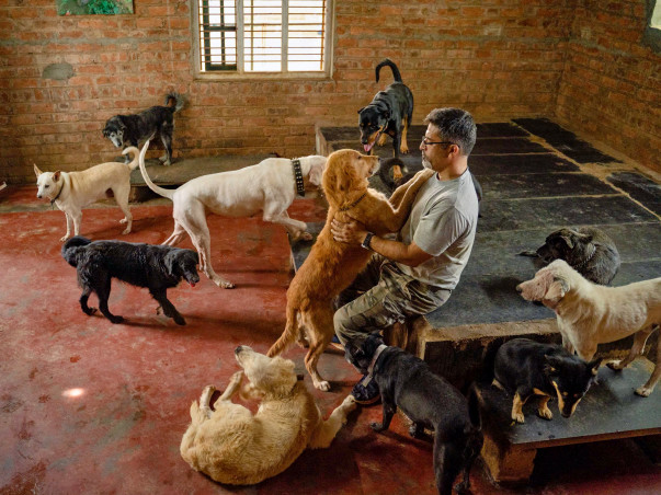 Help Rakesh take care of 850+ abandoned and injured dogs