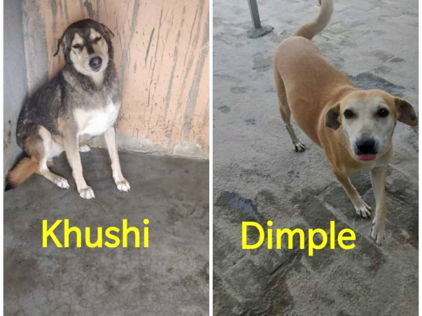 Help Dimple and Khushi have second chance at life