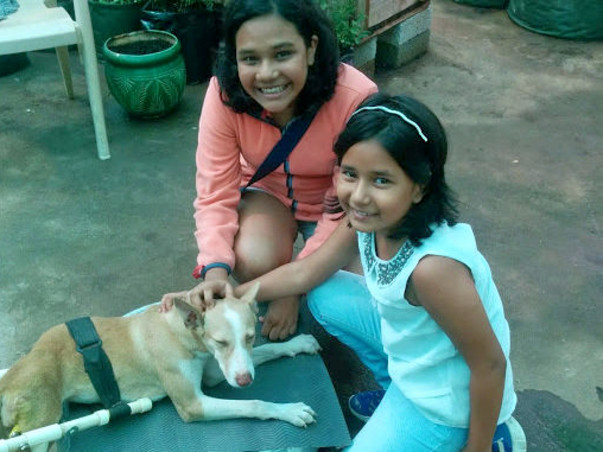 A New Life for Nanuk- The Dog