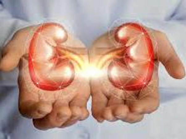Help Me Fight Chronic Kidney Disease And Live A Healthier Life