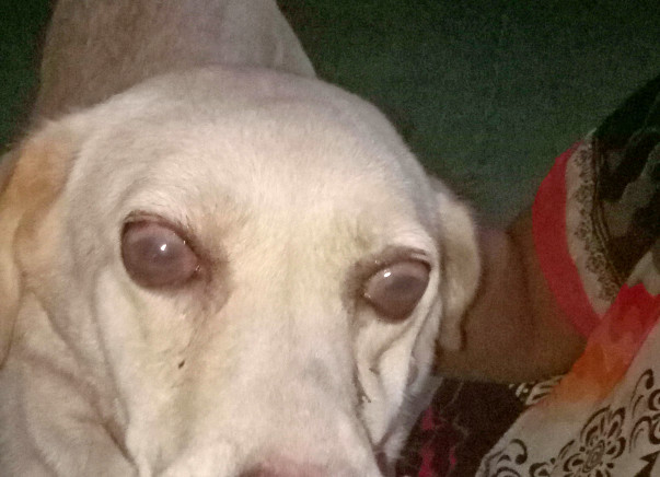 Starry Eyes