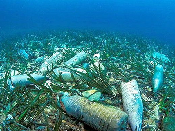 Save the ocean and Marine Life from plastic