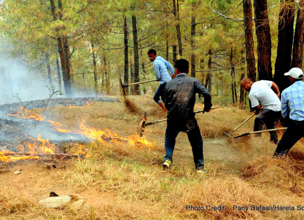 Help provide firefighting equipment and training to Uttarakhand