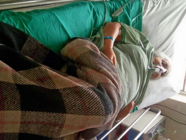Help sharkinkda devi to save her life