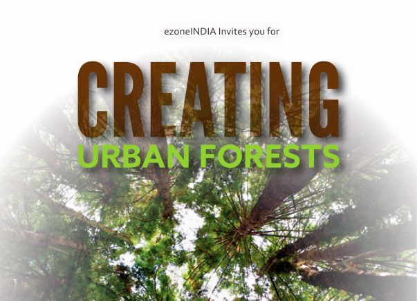 Plant Trees to bring back Glorious GREEN Cover