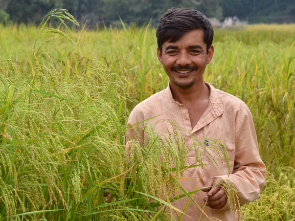 Help Syed Ghani Build A Museum To Promote The Use Of Traditional Paddy