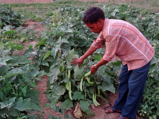 I am fundraising to help Rami Setty, a tribal organic farmer in his effort to end malnutrition in Bhadrachalam tribal area