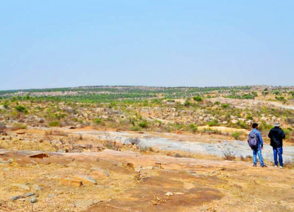 Bengaluru Marathon: Improve Green Cover in Chintamani