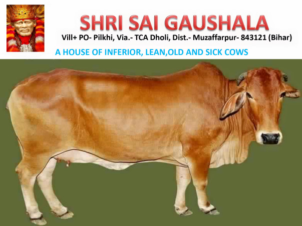 Help Us Build a Goushala