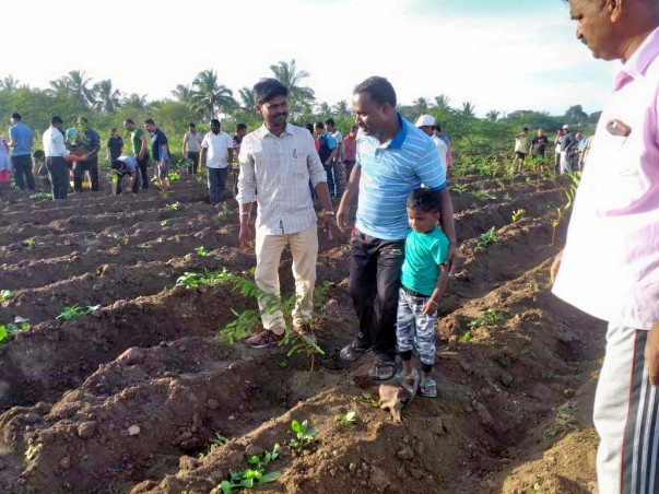 Plant 1 tree for humanity