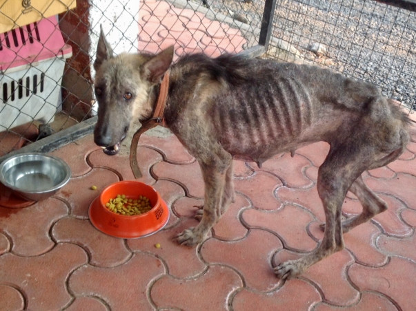 This Christmas, Help give Jody the Gift of Life