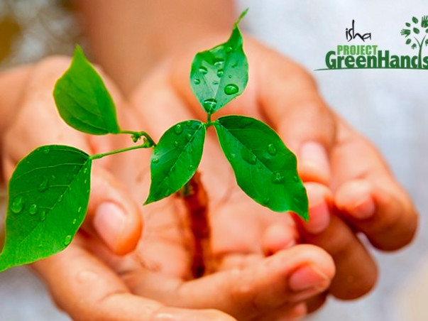 Offset your carbon footprint this World Environment Day