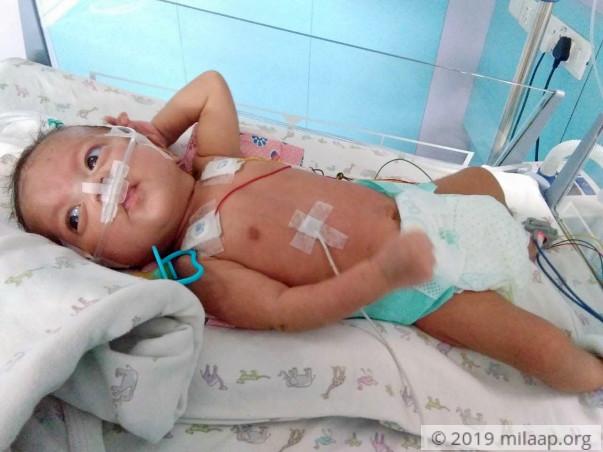 Akshara Bhattacharya needs your help!