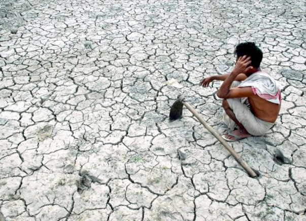 I am fundraising to help the victims of the farmer suicides in Vidarbha region of Maharashtra