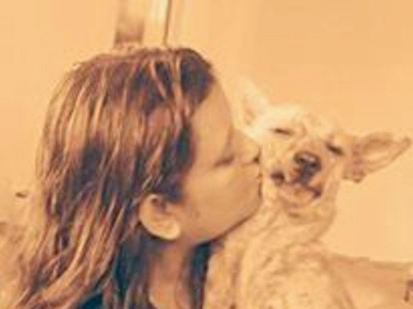 Help Kolkata give its strays a life of dignity