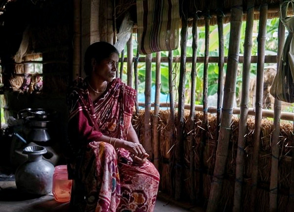 Help These Tiger Widows Start Their Own Business In The Sunderbans