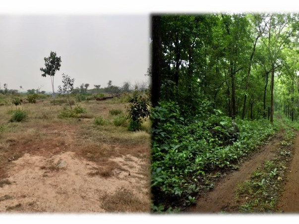 Creating Aravalis Bio-Diversity Parks
