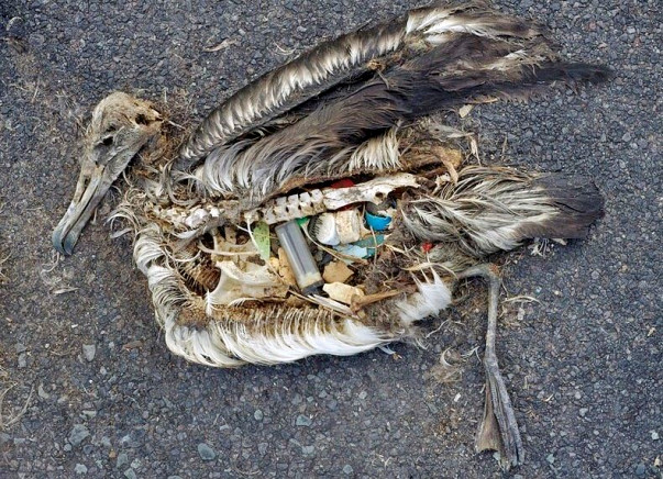 Support 'The Planet' If You Care About Our Planet