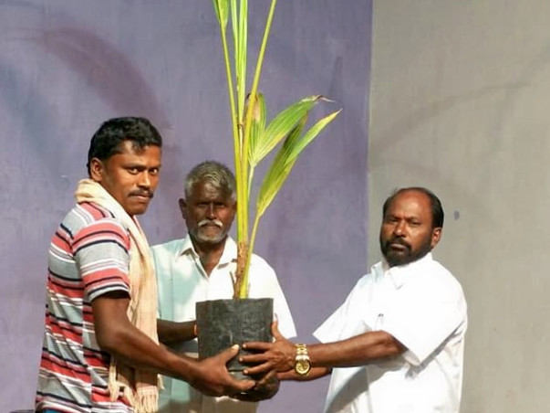 Project UYIUTHULIR- Planting A Tree.