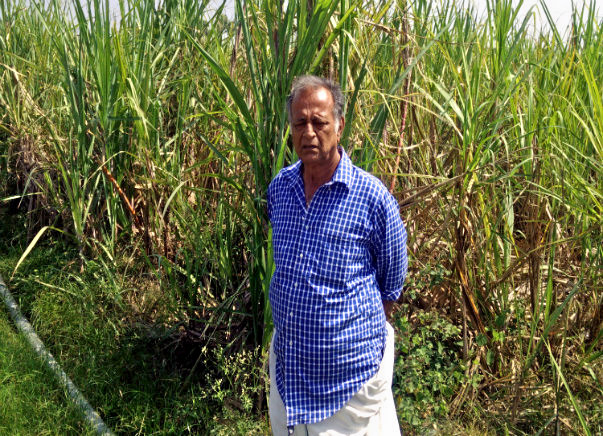 Help Farmer / Diarist Mukundan To Revive Native Indian Bulls