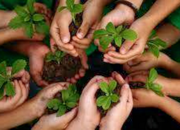 Let's plant a tree on this children's day