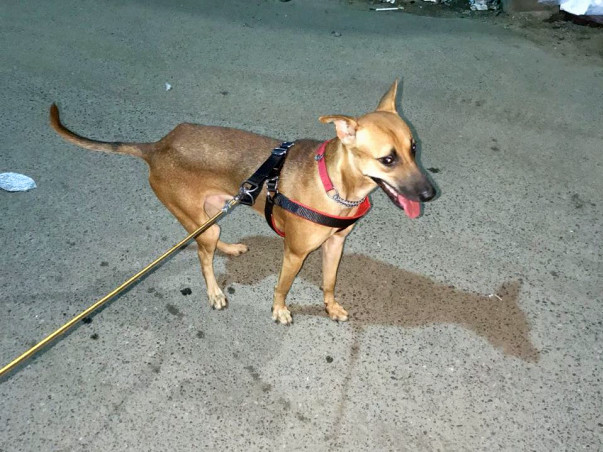 Help Carlo Get Treated