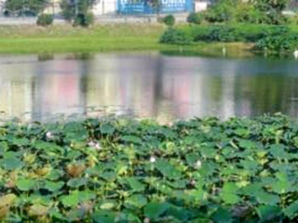 Peace Ride: Lake Restoration, Uttarahalli