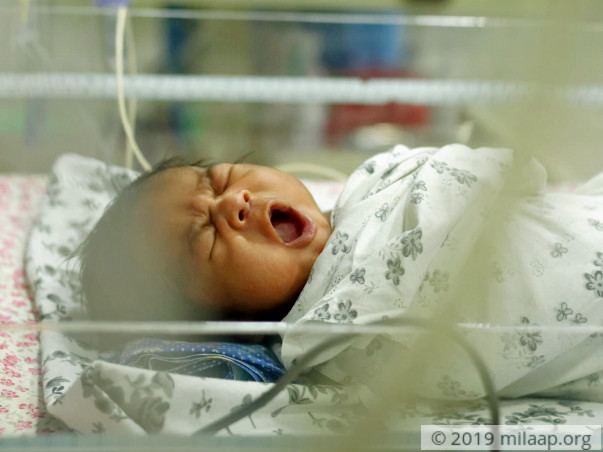 Help Dolly's Baby Recover