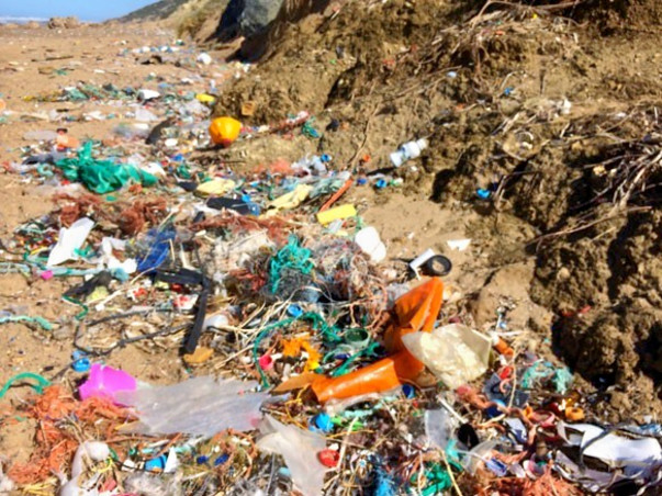 Help protect the Environment, Animals for Welfare
