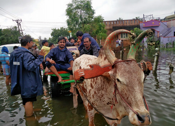 We are fundraising to support 2000 families in Chennai and Cuddalore. Can you help?