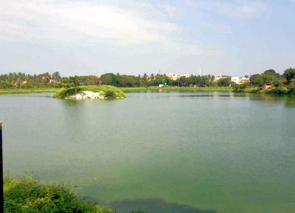 Bengaluru Marathon: Rejuvenate Kaudenahalli Lake, KR Puram