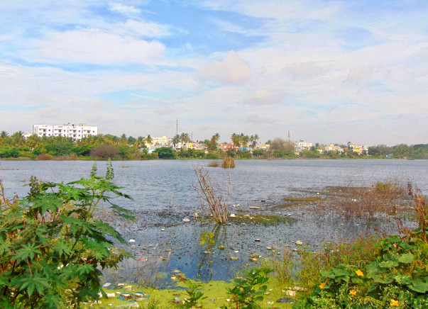 Peace Ride: Restoration of Horamavu Lake, KR Puram