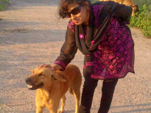 Help Meelan Keep Up Feeding And Caring My 50-70 Stray Dogs