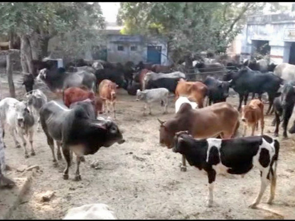 SANSKAR AWAAZ AYOJANA CHARITABLE TRUST