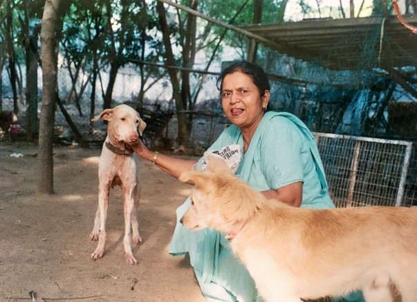 Chanda Has Saved Many Animals, Now She Needs Our Help To Walk Again