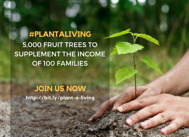 Plant A Tree, Gift A Living