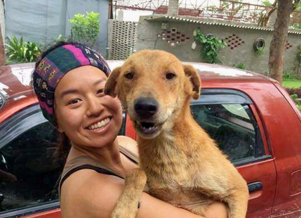 Help Bhoora Fly To His Forever Home