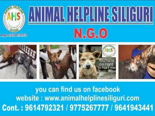 Help Animal Helpline Siliguri to continue to save Stray Animals